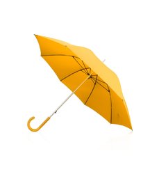 Зонт-трость Коди